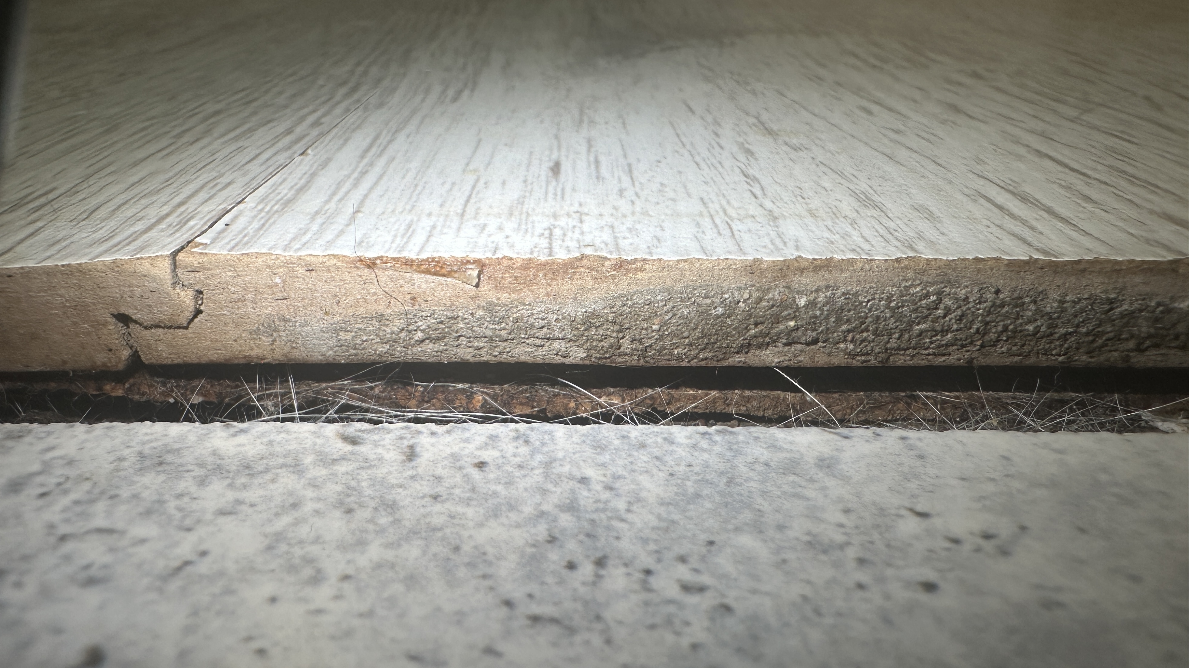 Разбухший ламинат от мочи собаки